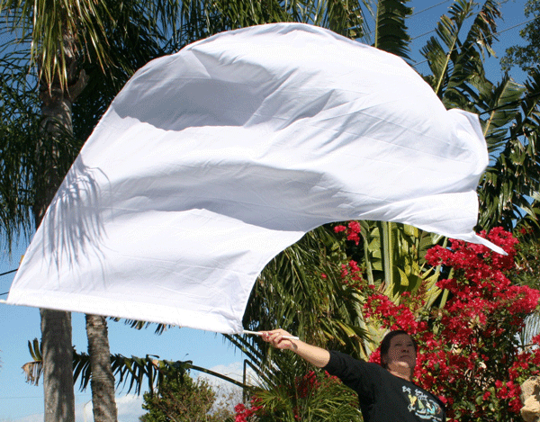 PRAISE WORSHIP SWING WING BANNER FLAG WHITE